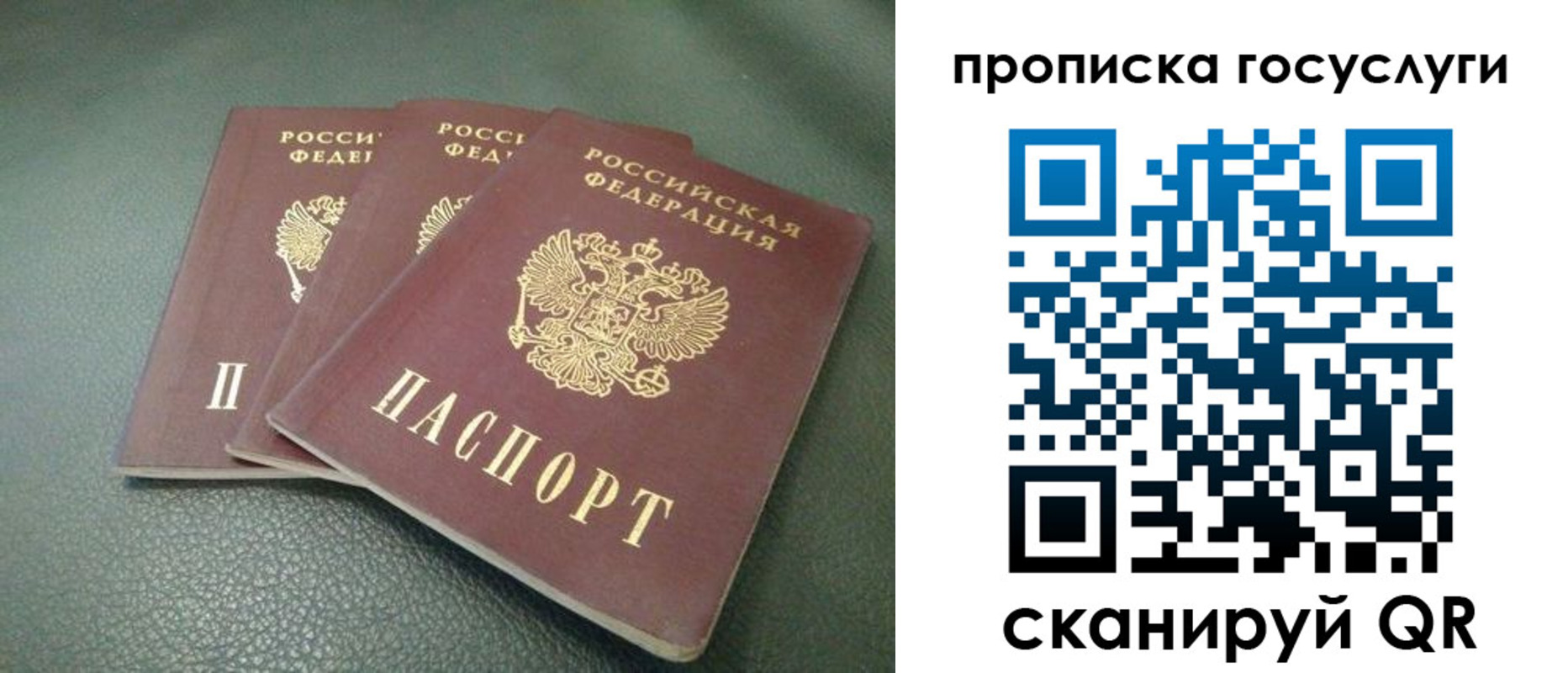 временная регистрация госуслуги в Плавске